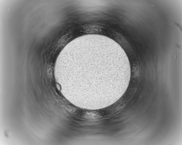 X0000100190753200806271618