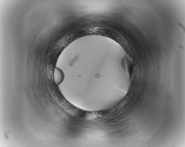 X0000100190754200806271618