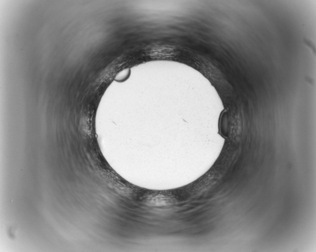 X0000100190755200806271618