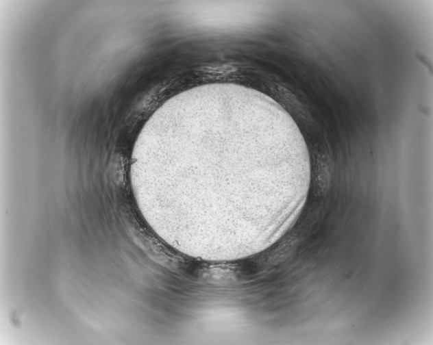 X0000100190758200806271618