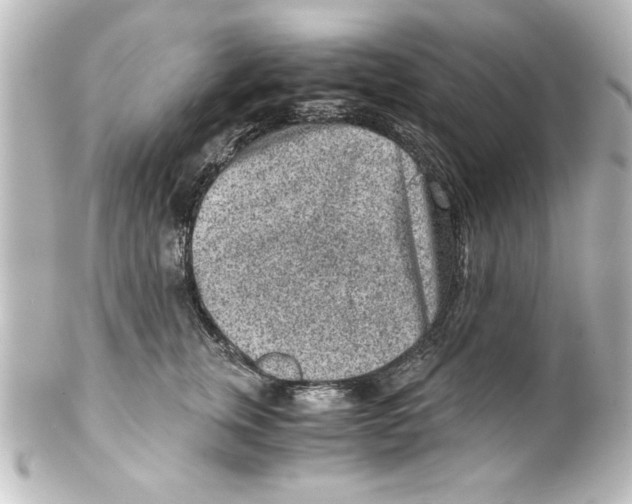X0000100190759200806271618