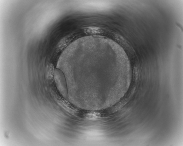 X0000100190760200806271618