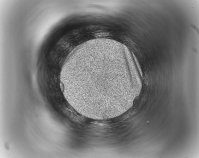 X0000100190763200806271619