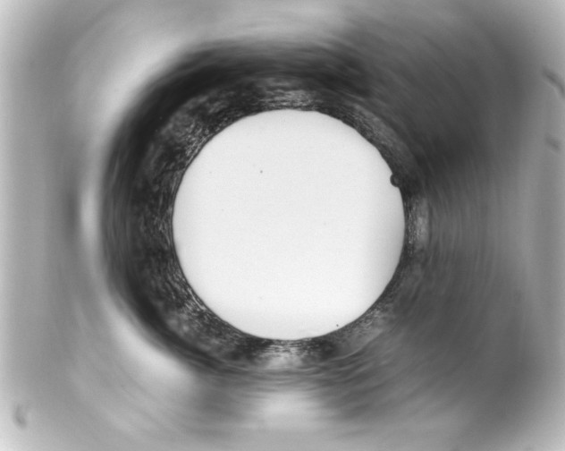 X0000100190764200806271619
