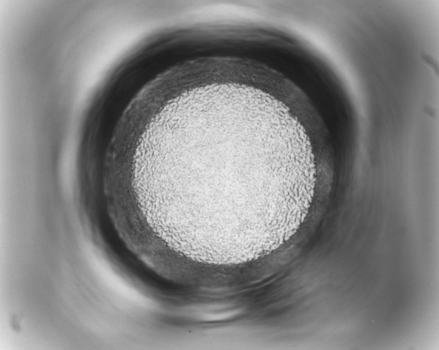 X0000100190765200806271619
