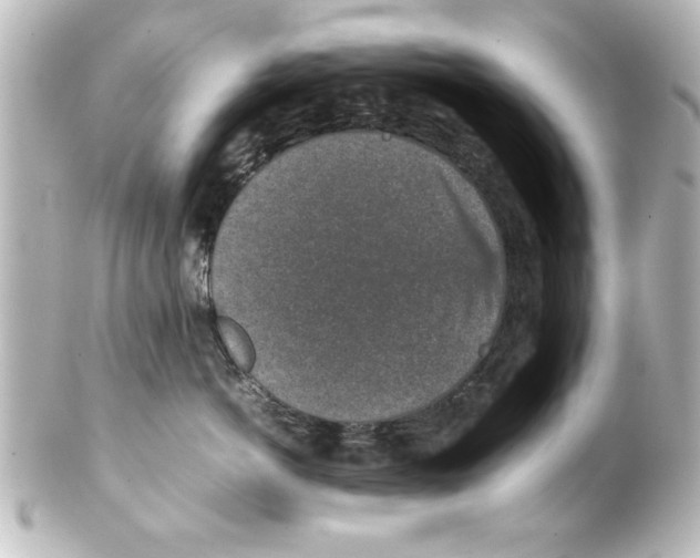 X0000100190766200806271619