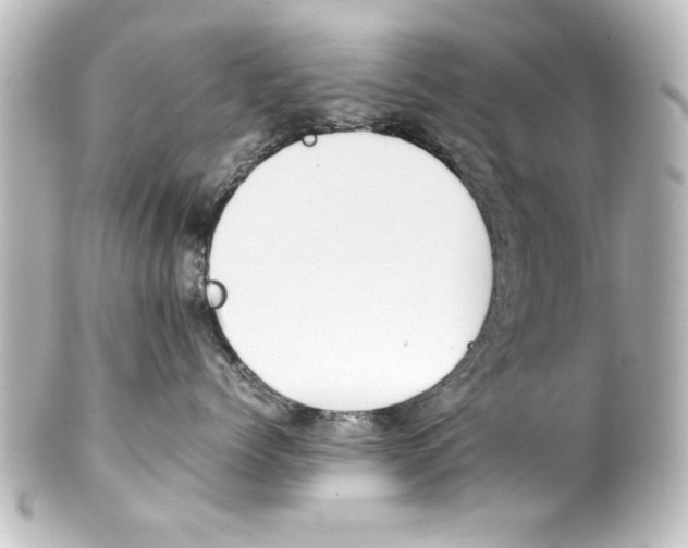 X0000100190768200806271619