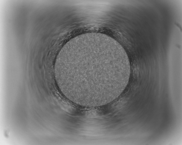 X0000100190769200806271618