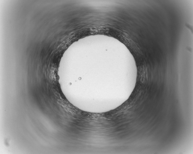 X0000100190770200806271618