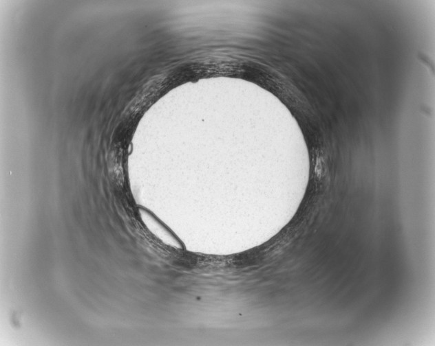 X0000100190771200806271618