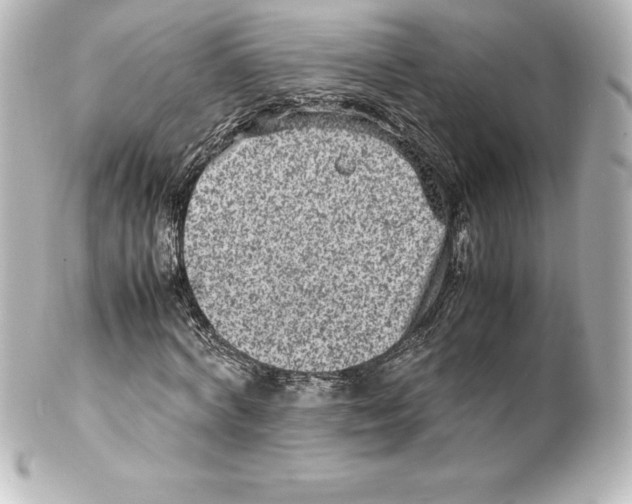 X0000100190772200806271618