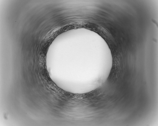 X0000100190773200806271618