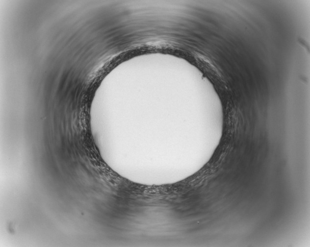 X0000100190776200806271618