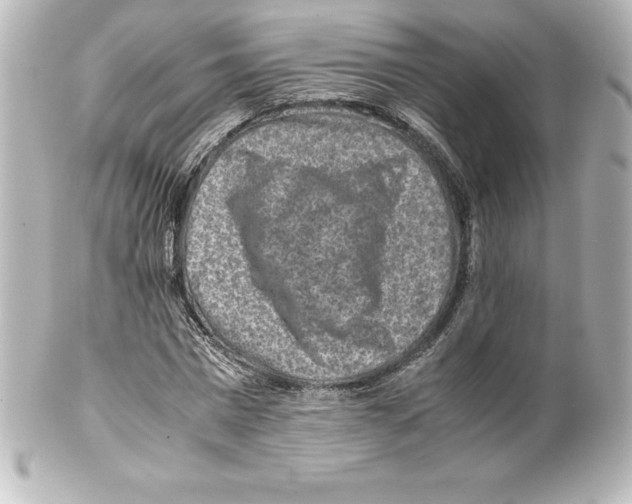 X0000100190777200806271618