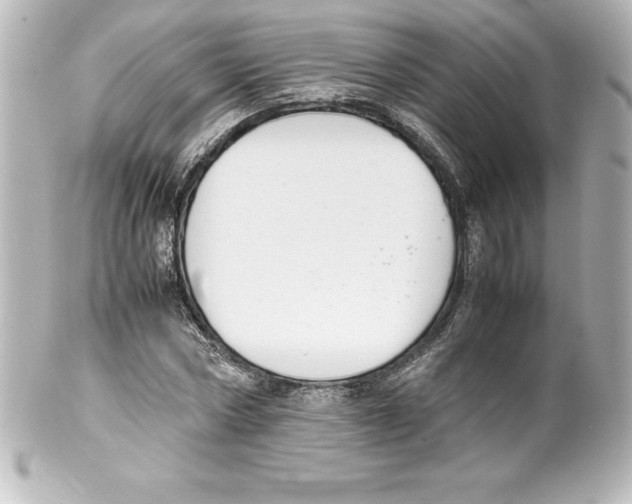 X0000100190778200806271618