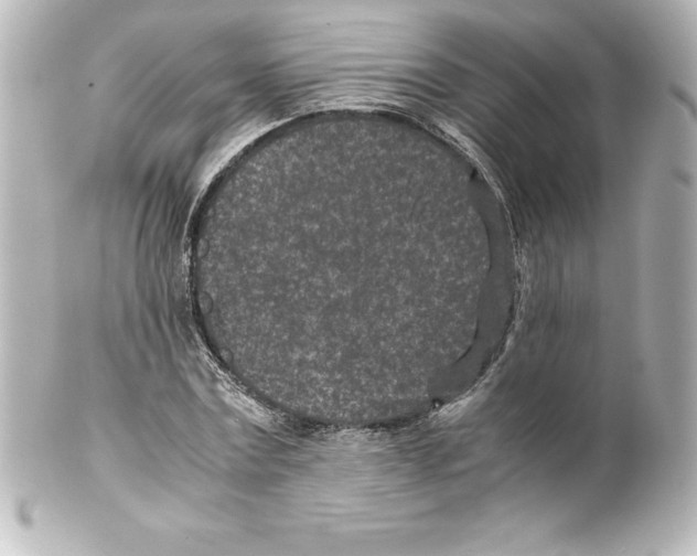 X0000100190779200806271618