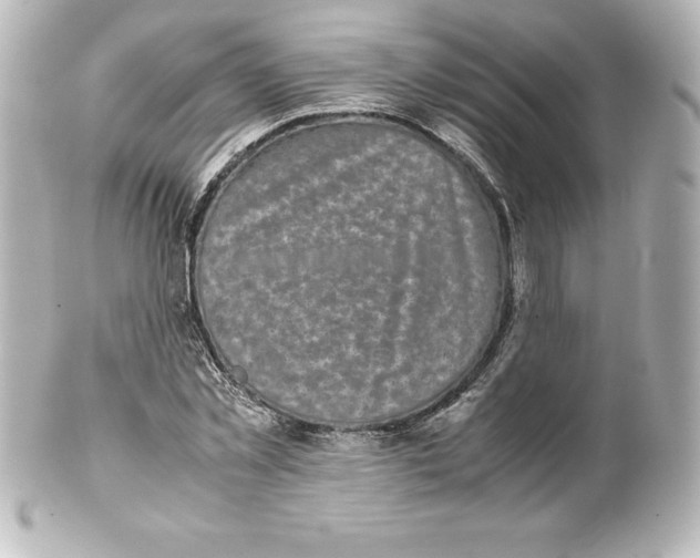 X0000100190781200806271618