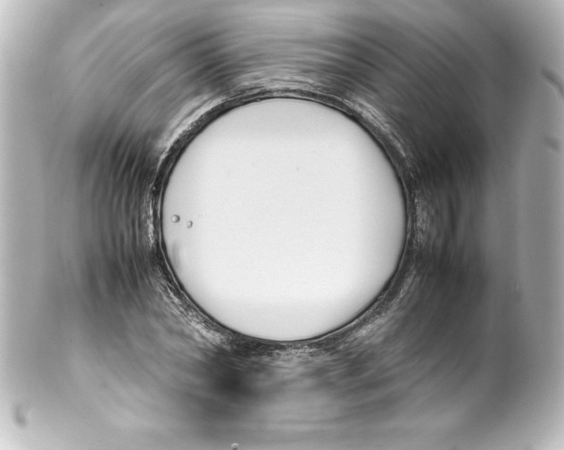 X0000100190782200806271618
