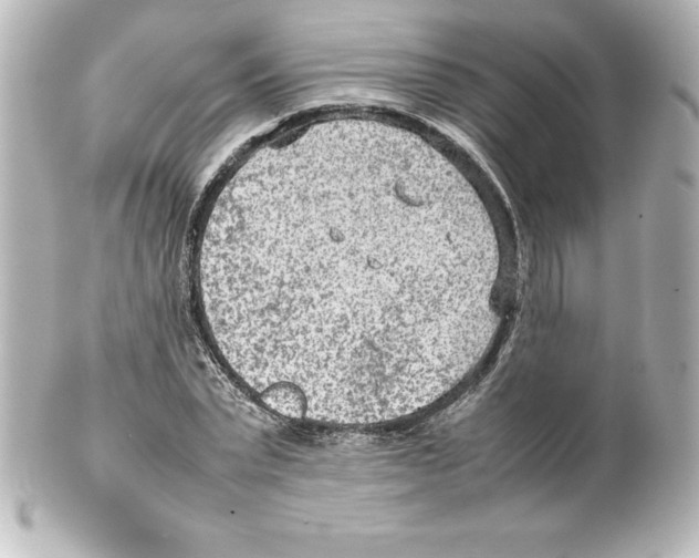 X0000100190783200806271618
