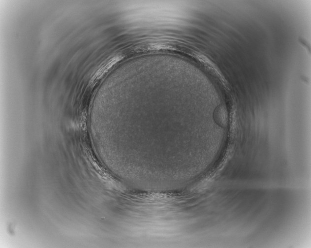 X0000100190785200806271618