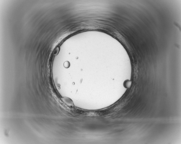 X0000100190787200806271618