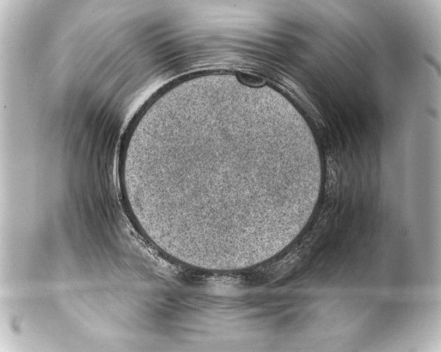 X0000100190788200806271618
