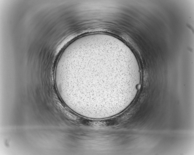 X0000100190789200806271618