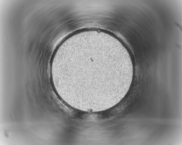 X0000100190791200806271618