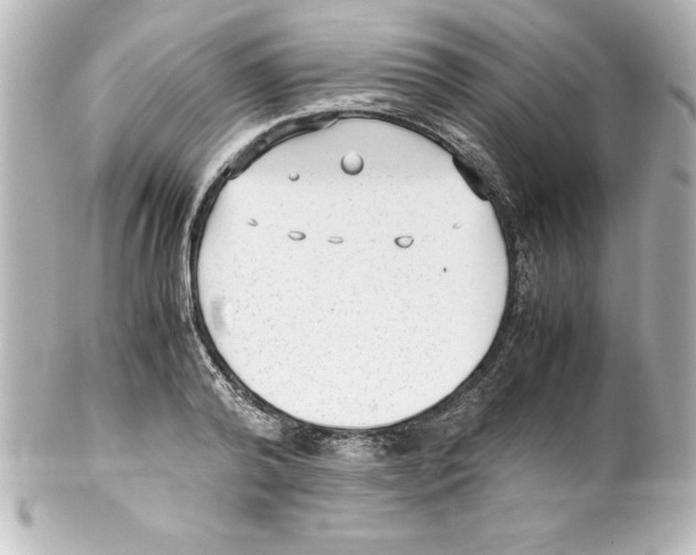 X0000100190792200806271618