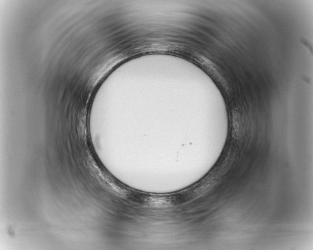 X0000100190794200806271617