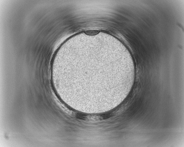 X0000100190795200806271617