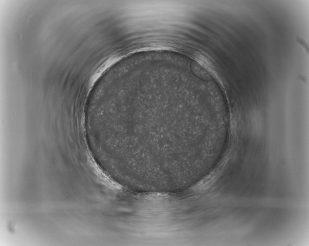 X0000100190797200806271617