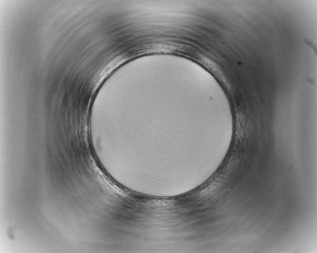 X0000100190802200806271617