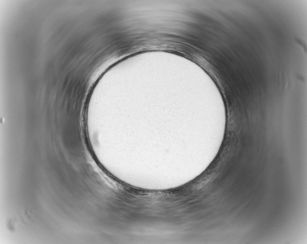 X0000100190803200806271617