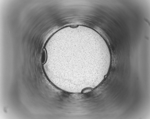 X0000100190805200806271617