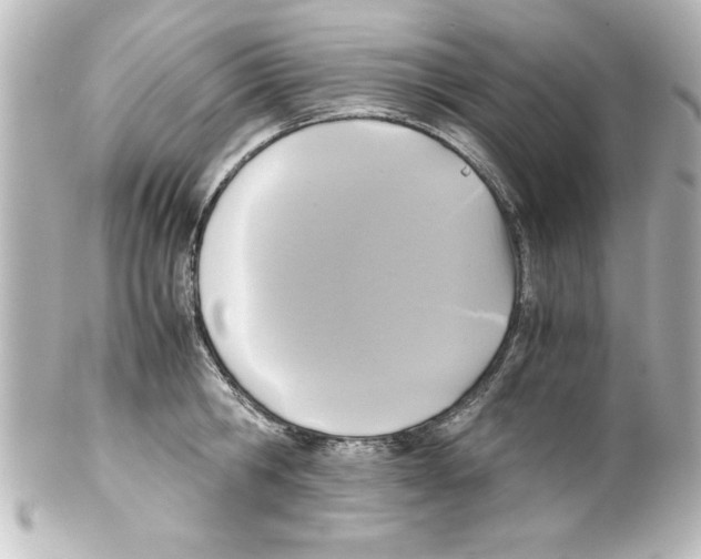 X0000100190806200806271617