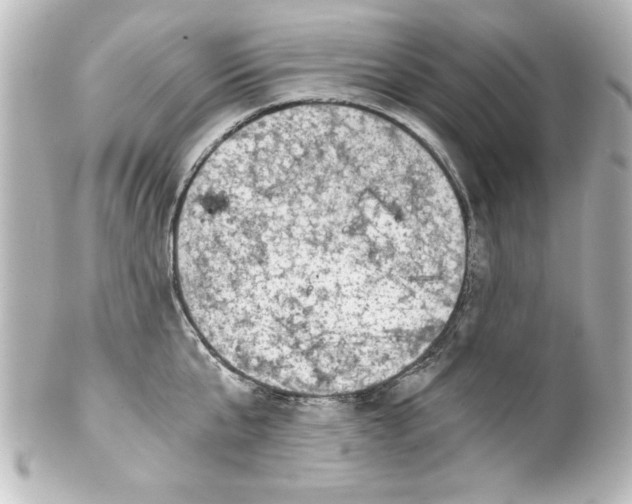 X0000100190807200806271617