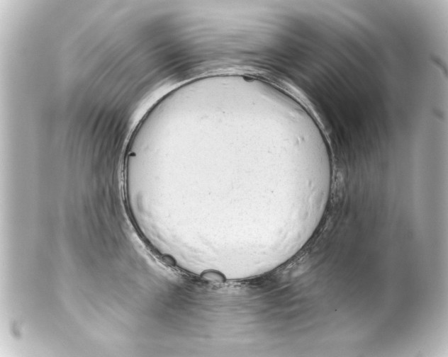 X0000100190811200806271617