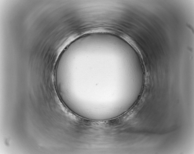X0000100190813200806271617