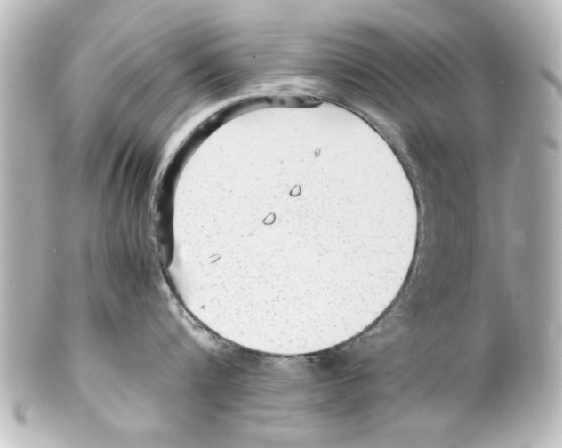X0000100190816200806271617