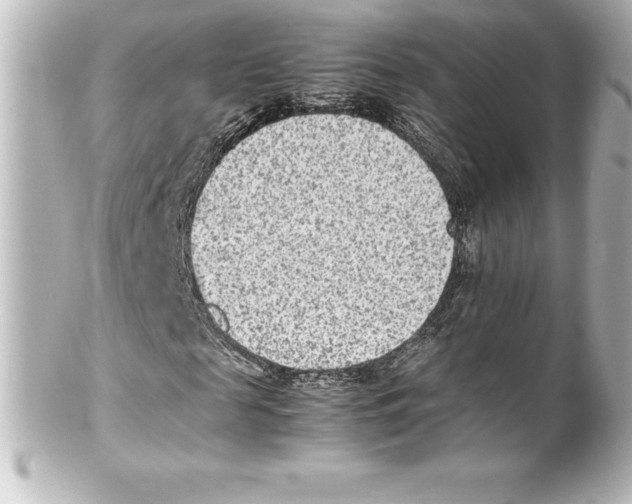 X0000100190817200806271616