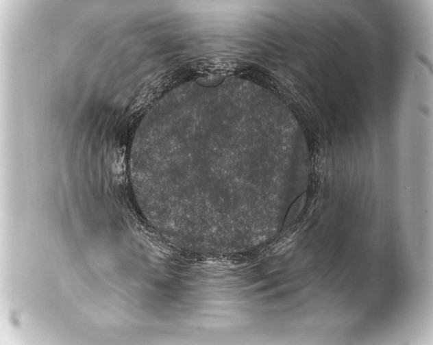 X0000100190818200806271616