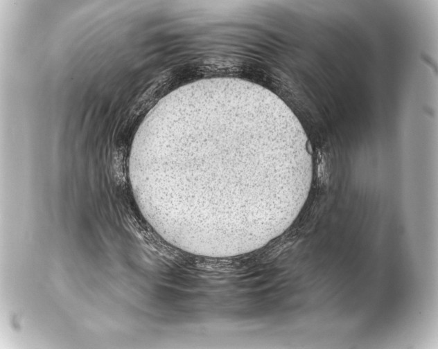 X0000100190819200806271616
