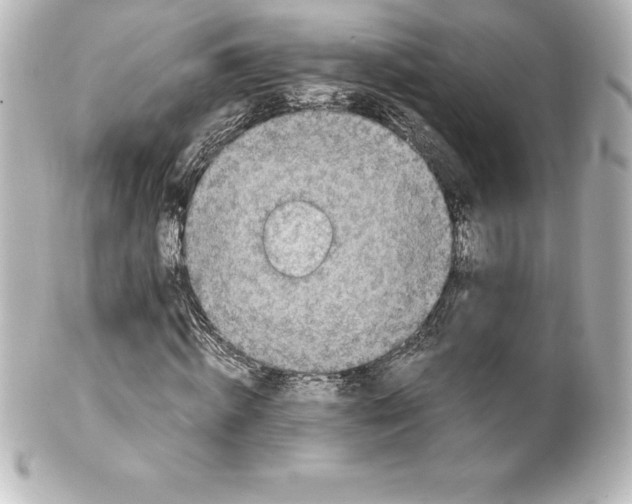 X0000100190820200806271616
