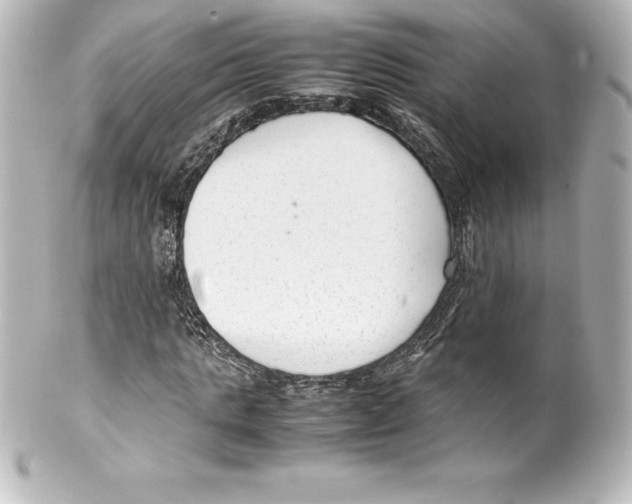 X0000100190821200806271616