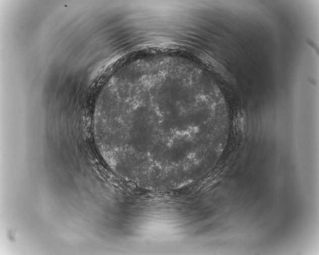 X0000100190822200806271616