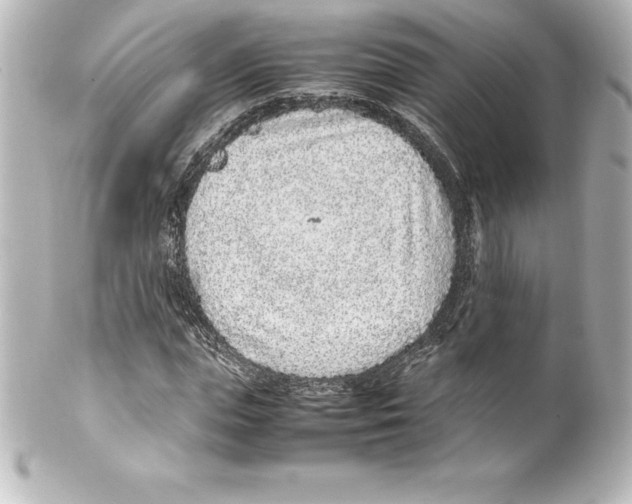 X0000100190823200806271616