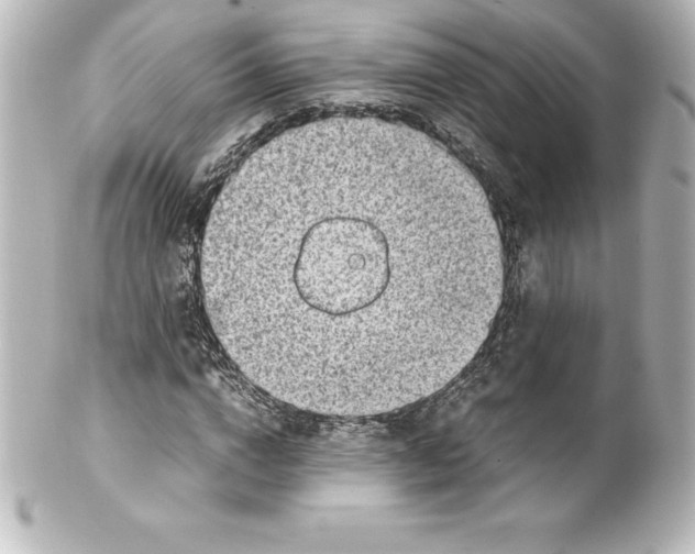 X0000100190824200806271616