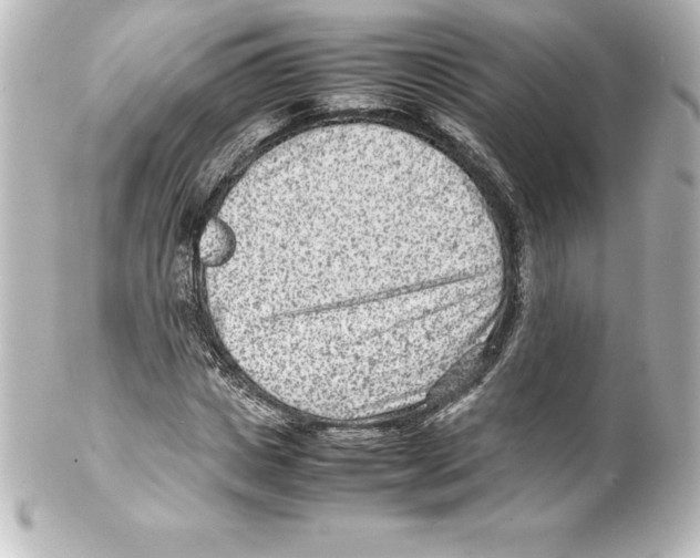 X0000100190825200806271616