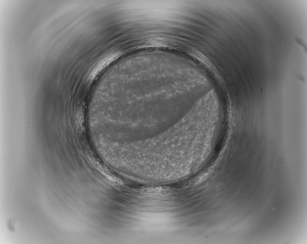 X0000100190826200806271616